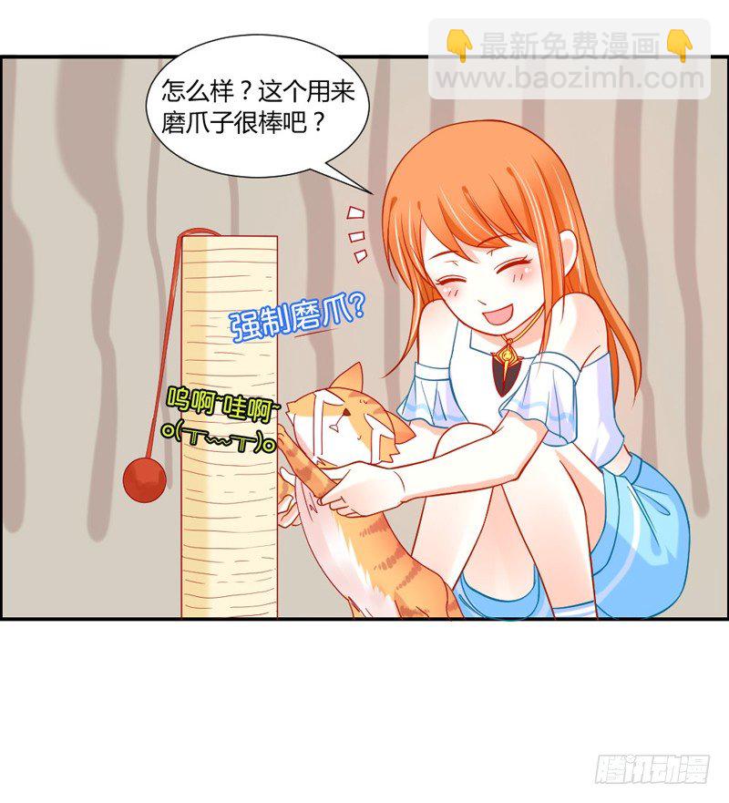 十个橘猫九个胖-第51话
