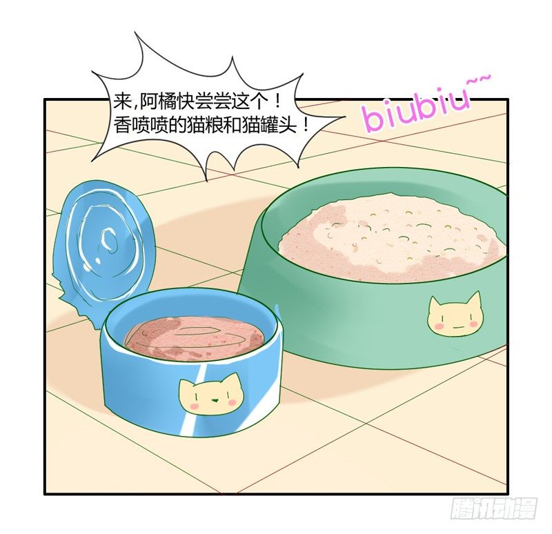 十个橘猫九个胖-第51话