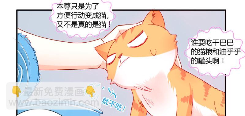 十个橘猫九个胖-第51话