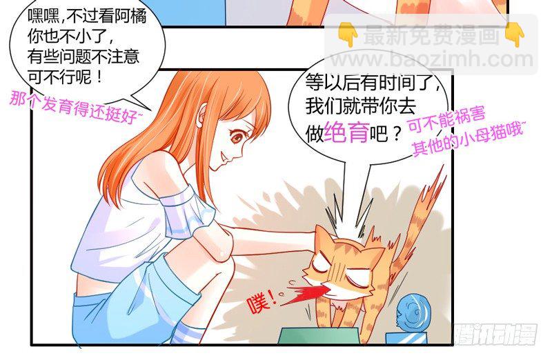 十个橘猫九个胖-第51话