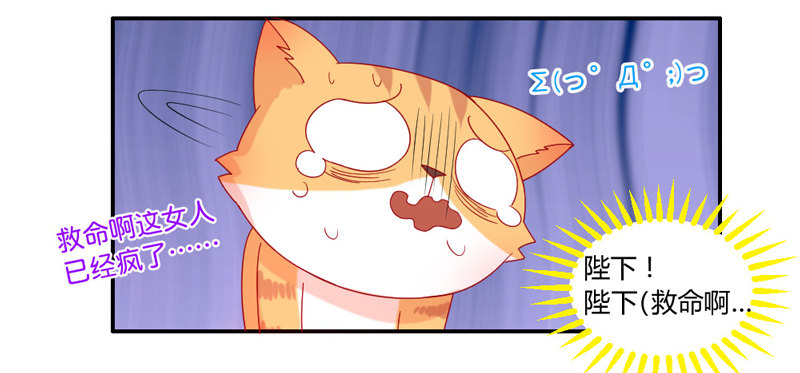 十个橘猫九个胖-第51话