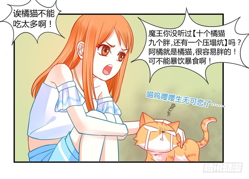 十个橘猫九个胖-第51话