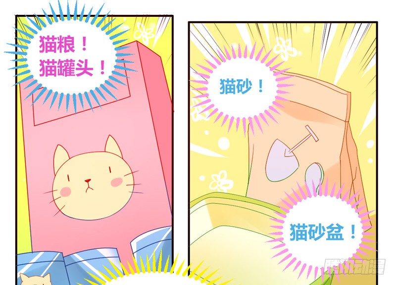 十个橘猫九个胖-第51话