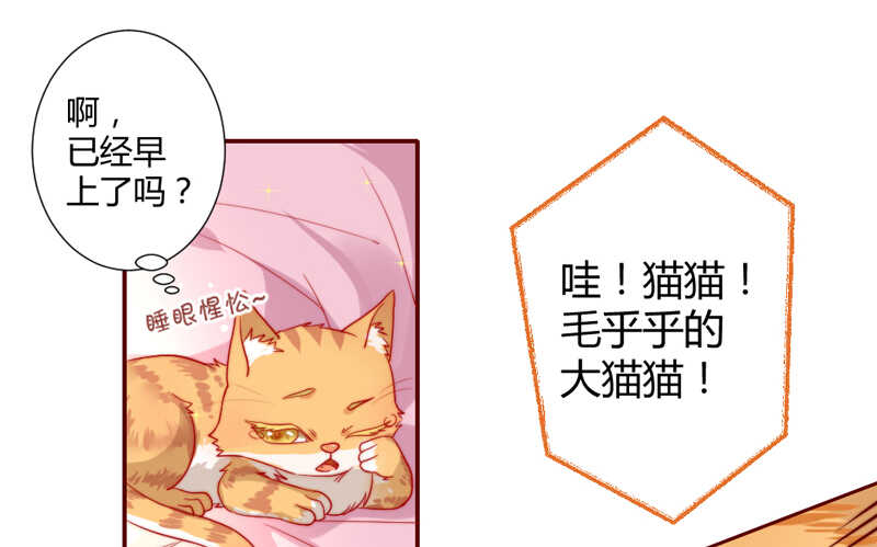 幸福居家小日常(1/2)-第87话