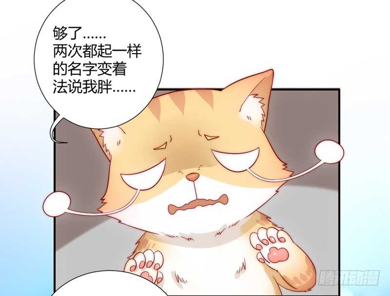 幸福居家小日常(1/2)-第87话