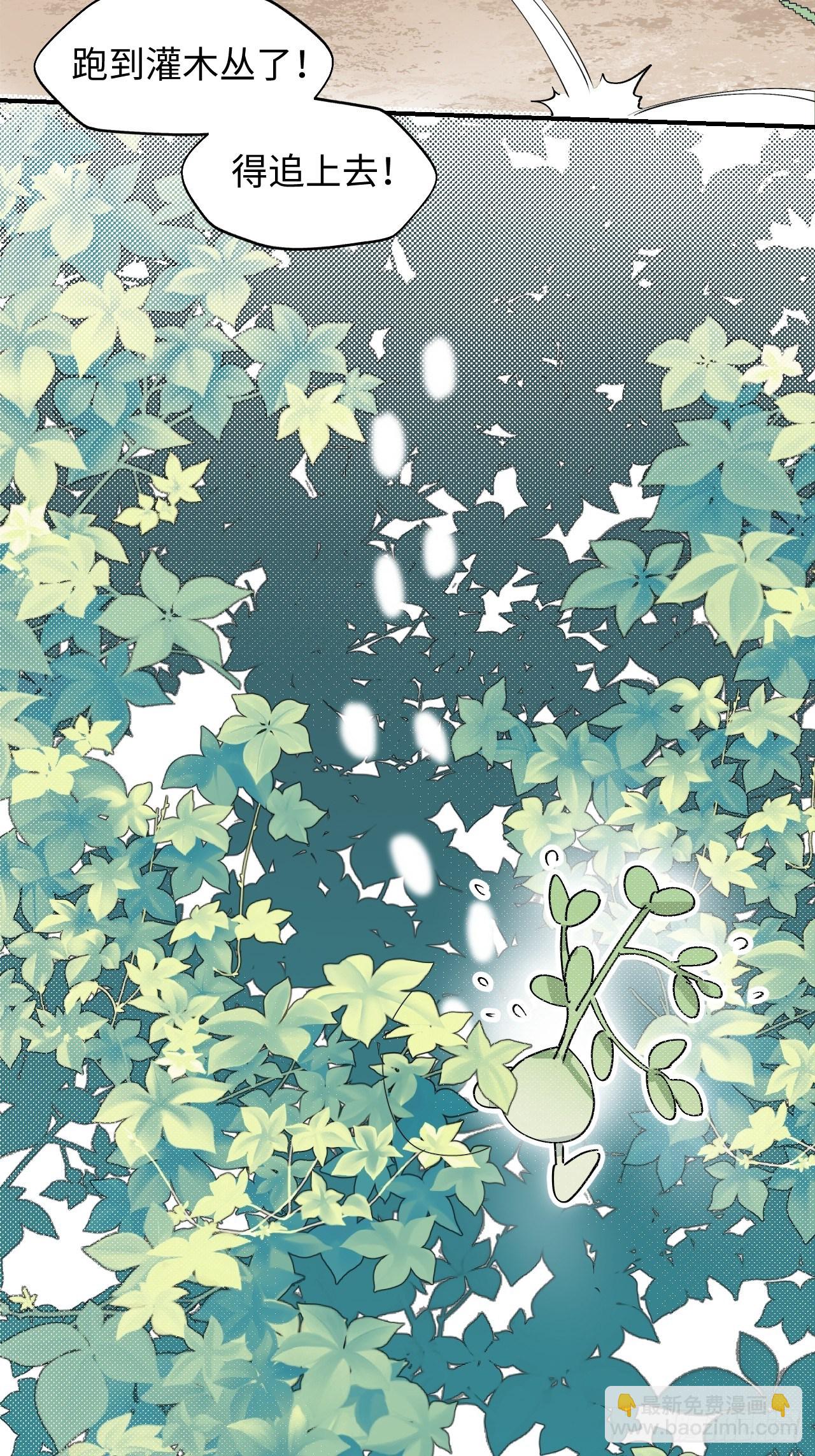 10请你看着我(1/2)-第11话