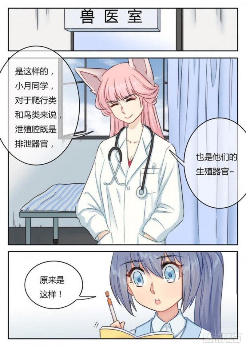 第100话-第103话