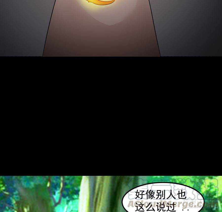 🍟殁仙 御火借风，障雾沼生 第29页