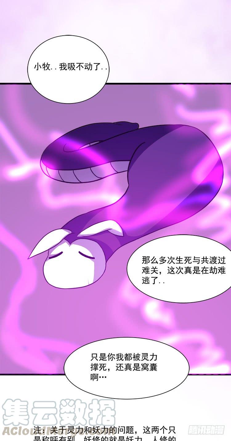 🍟殁仙 妖紫涌动，灵蓝涟漪 第13页