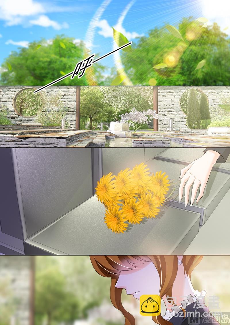 🍟沫许辰光 第261话 无人的葬礼，我会活得很好！ 第2页