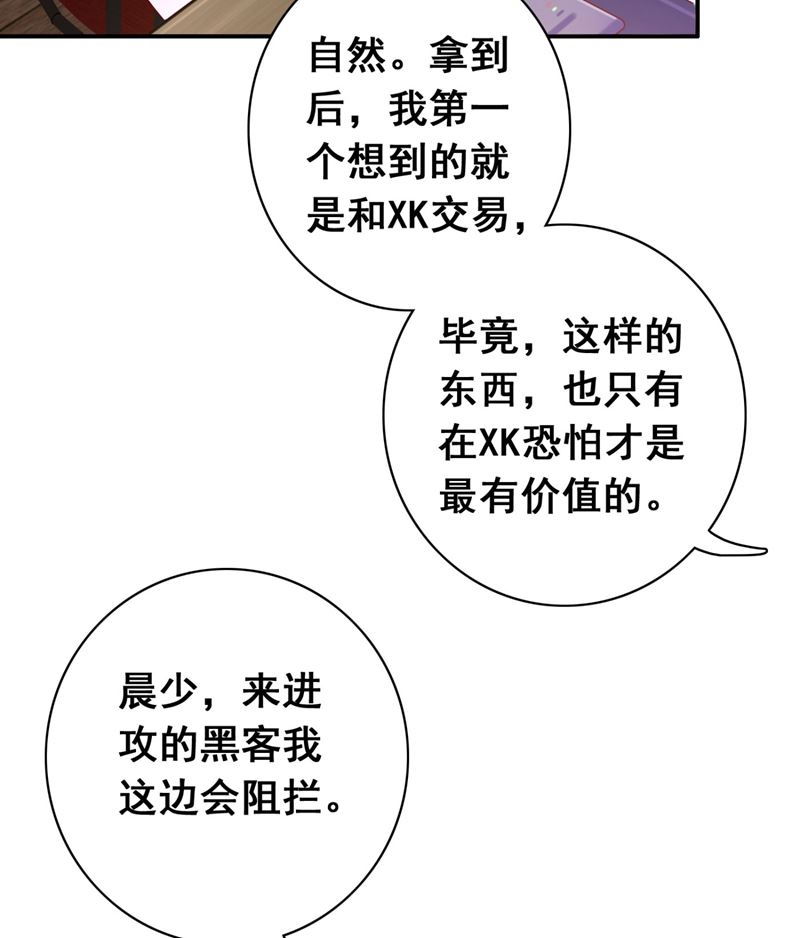 🍟沫许辰光 黑客攻击 第42页