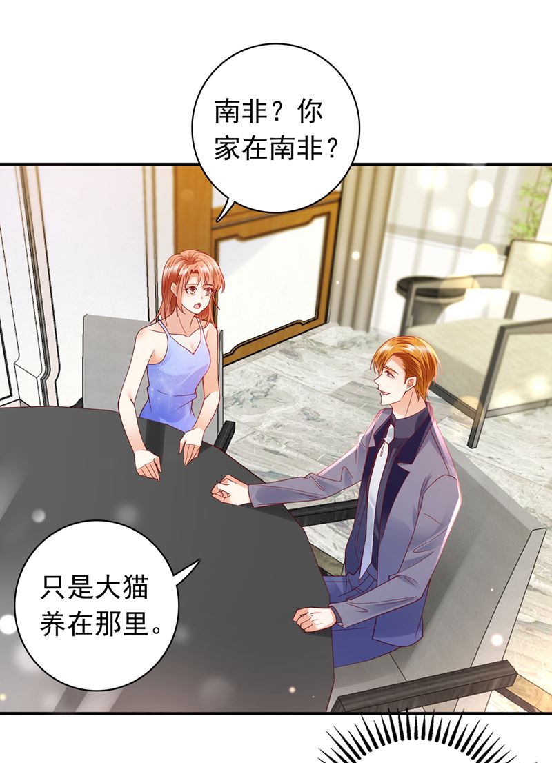 🍟沫许辰光 这是……大猫？！ 第25页