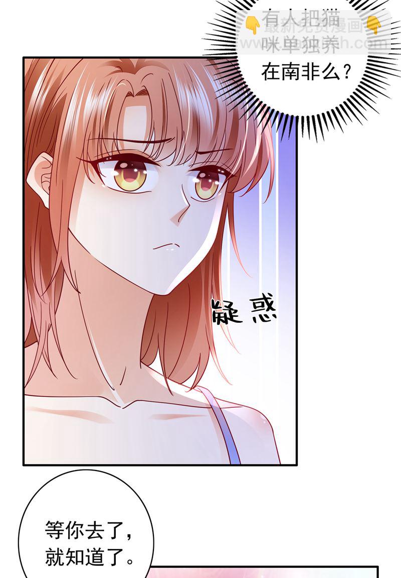 🍟沫许辰光 这是……大猫？！ 第26页