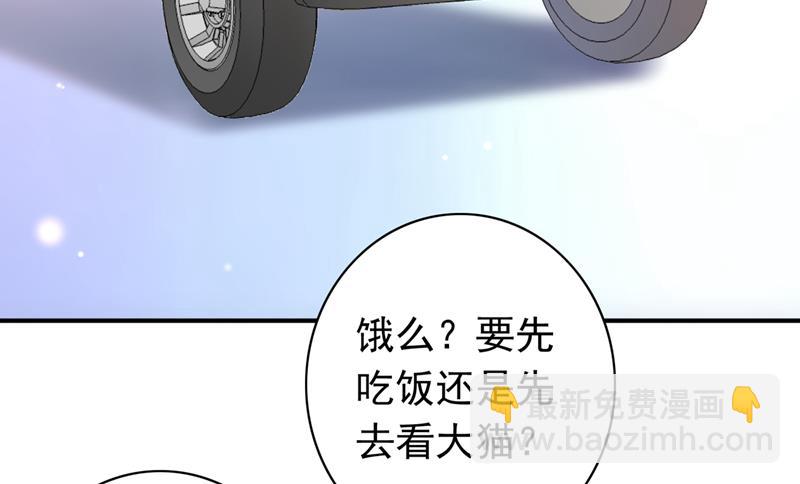 🍟沫许辰光 这是……大猫？！ 第36页