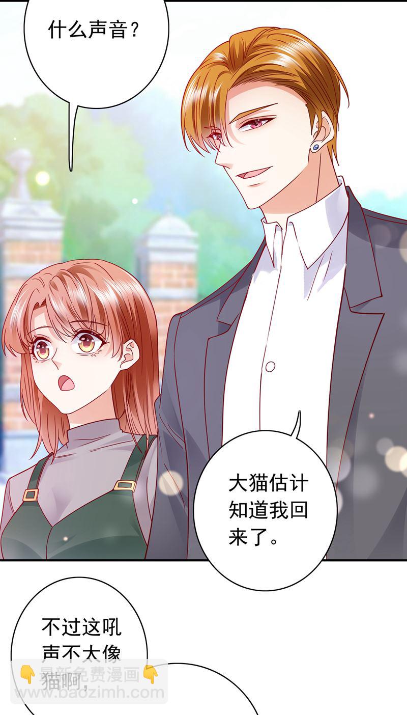 🍟沫许辰光 这是……大猫？！ 第43页