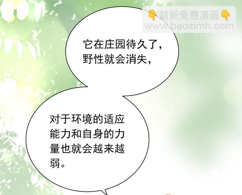 🍟沫许辰光 我会一直陪着你 第43页