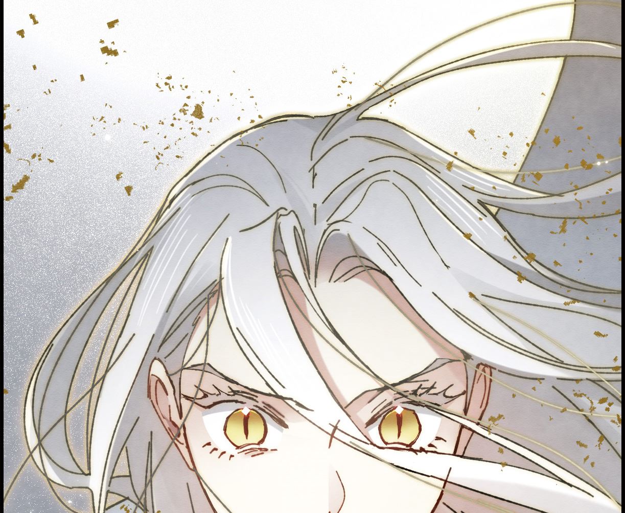 第1季最终话-第139话