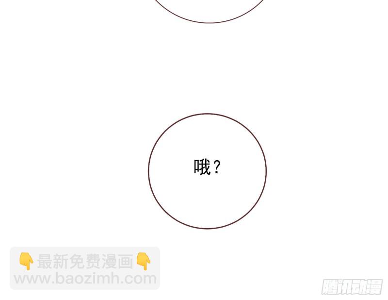 🍟万渣朝凰 比赛作废 第41页