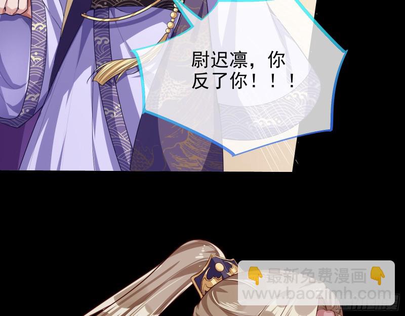 🍟万渣朝凰 苏护卫在此 第29页