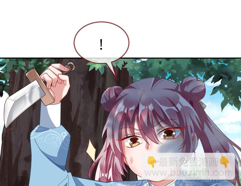 🍟万渣朝凰 生日宴会 第37页