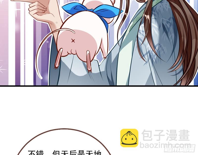 🍟万渣朝凰 天地印 第29页