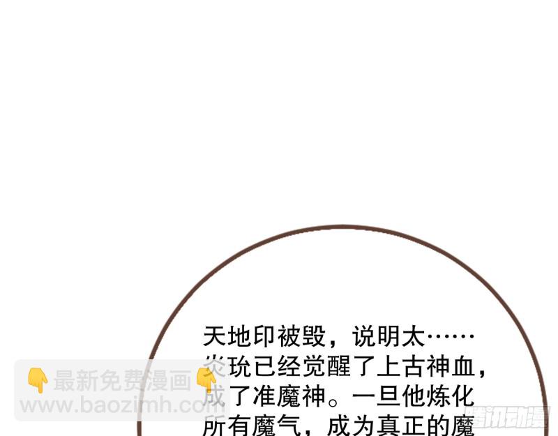 🍟万渣朝凰 天地印 第3页