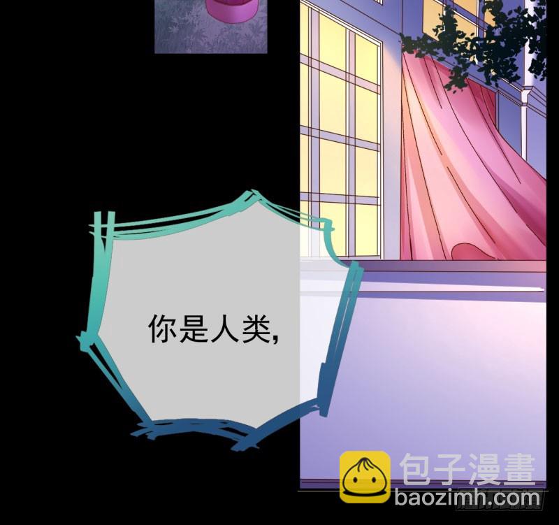 🍟万渣朝凰 红颜未老恩先绝 第4页