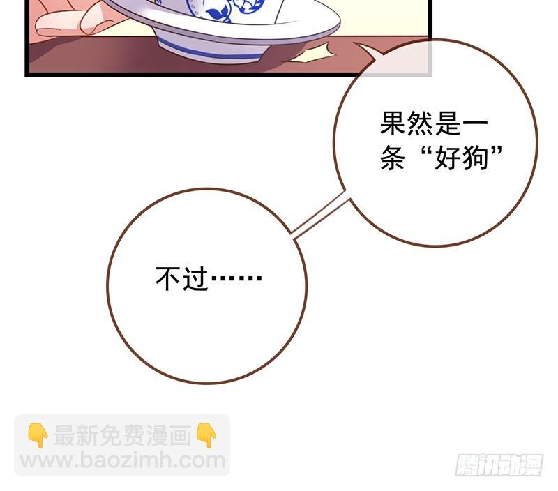 🍟万渣朝凰 本宫也不是什么恶魔 第12页
