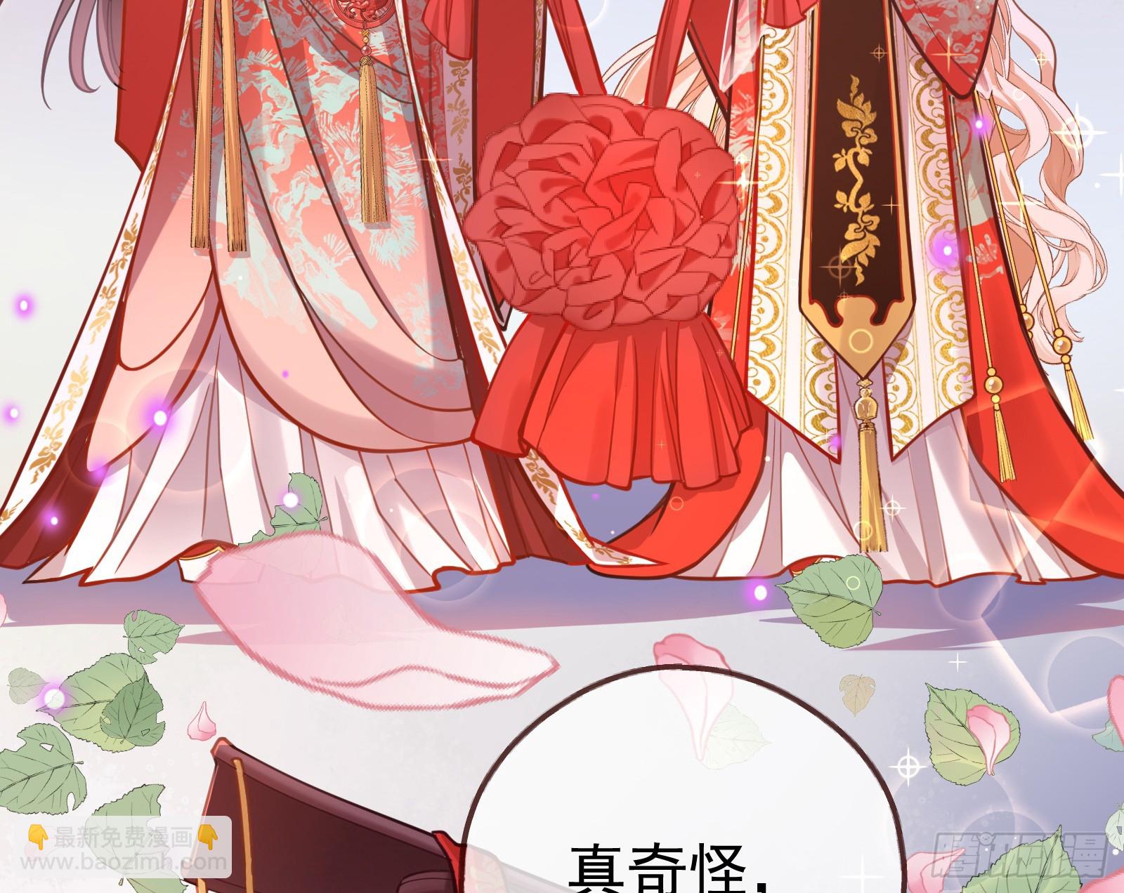 🍟万渣朝凰 大婚之礼 第29页