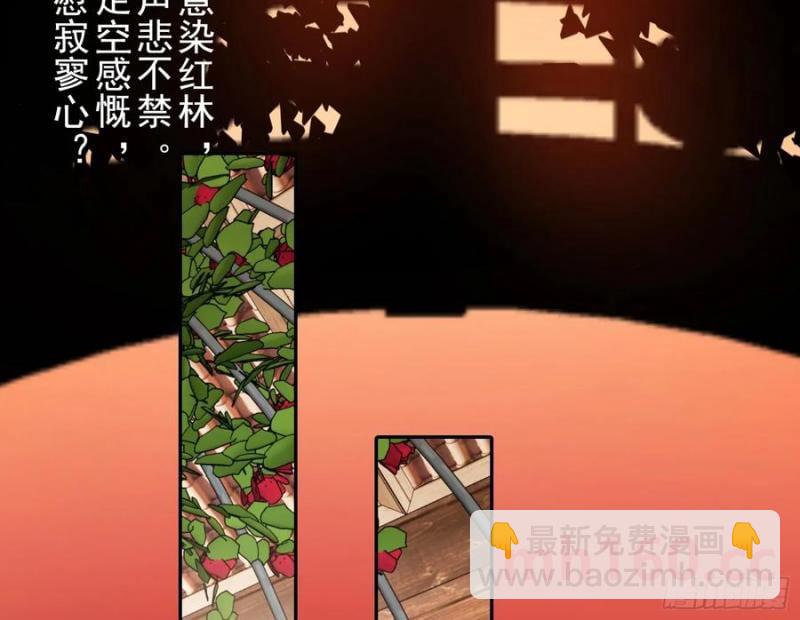 🍟万渣朝凰 笼中雀 第28页