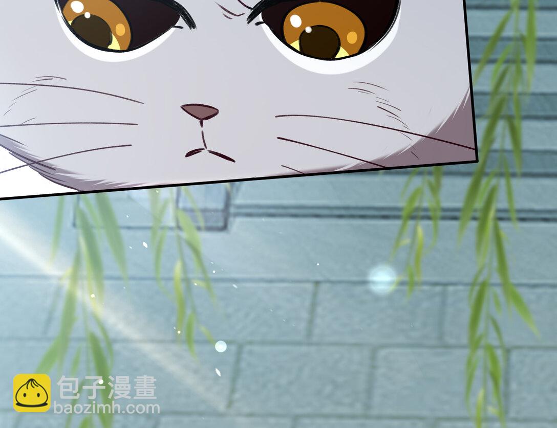🍟万渣朝凰 801 万渣第一季完结篇：找到苏绿夏 第30页