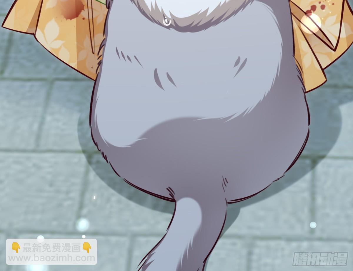 🍟万渣朝凰 找到苏绿夏 第45页