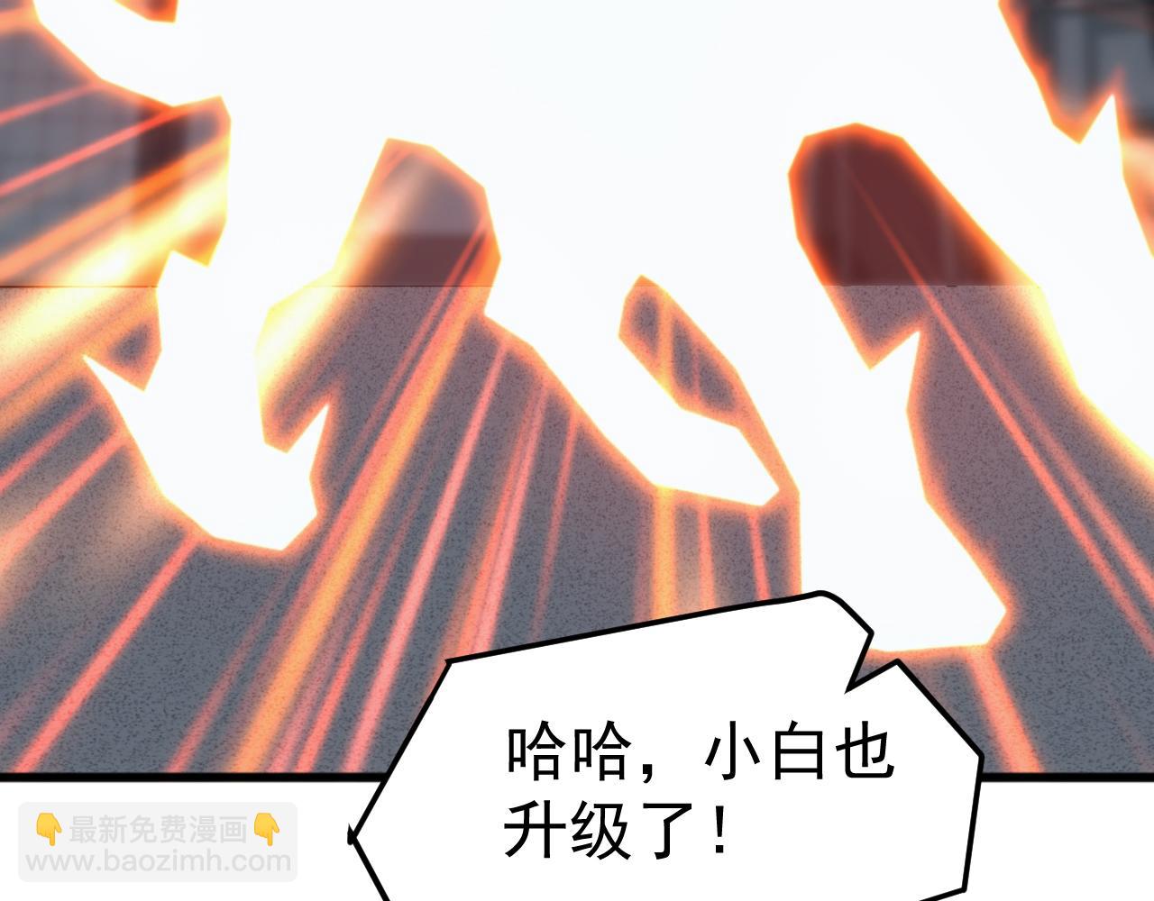 第23话 不养王八的驯兽师，不是好驯兽师！(1/4)-第23话