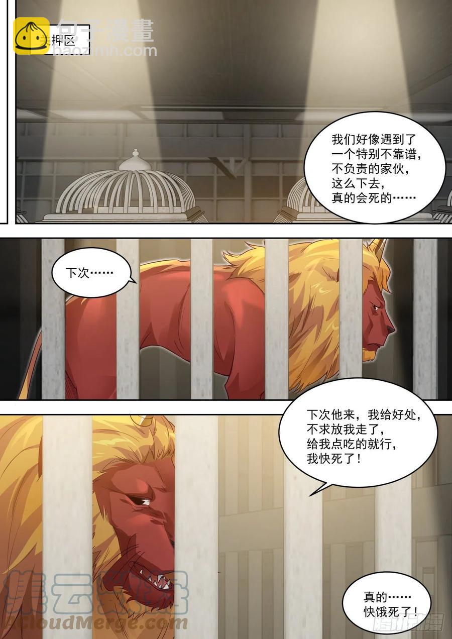 可怜的白枫-第205话