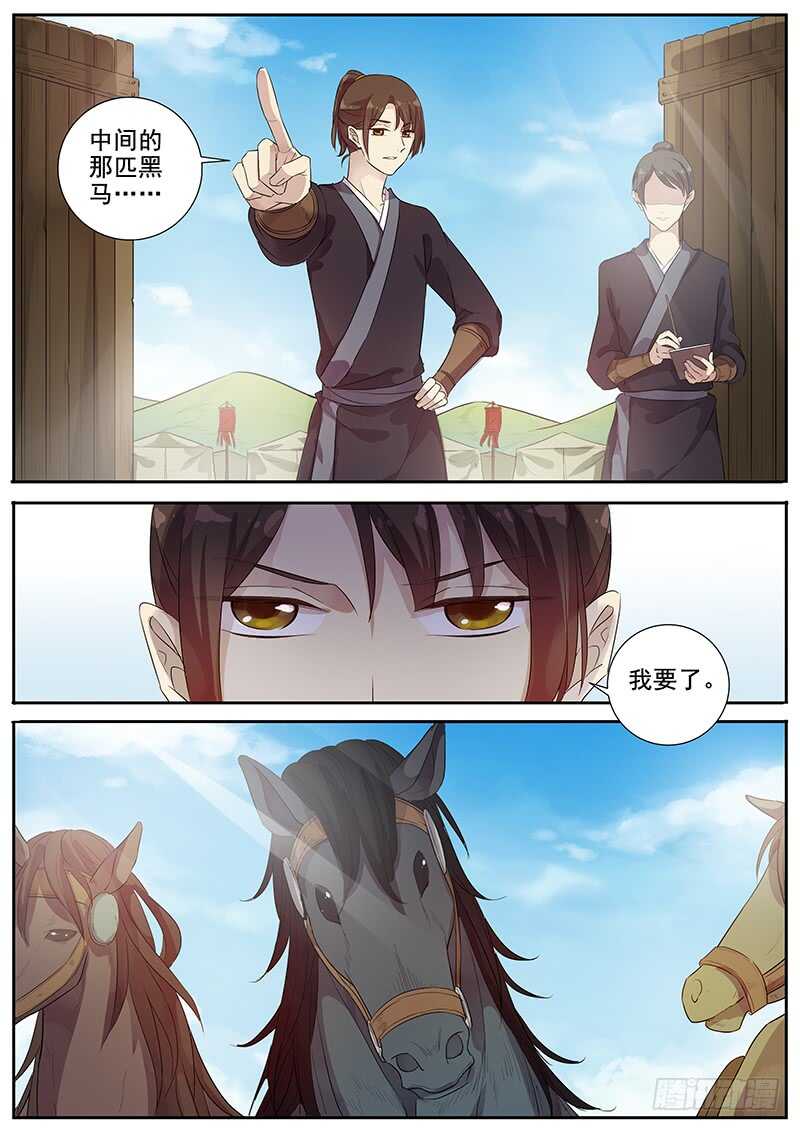 250我的战马-第255话