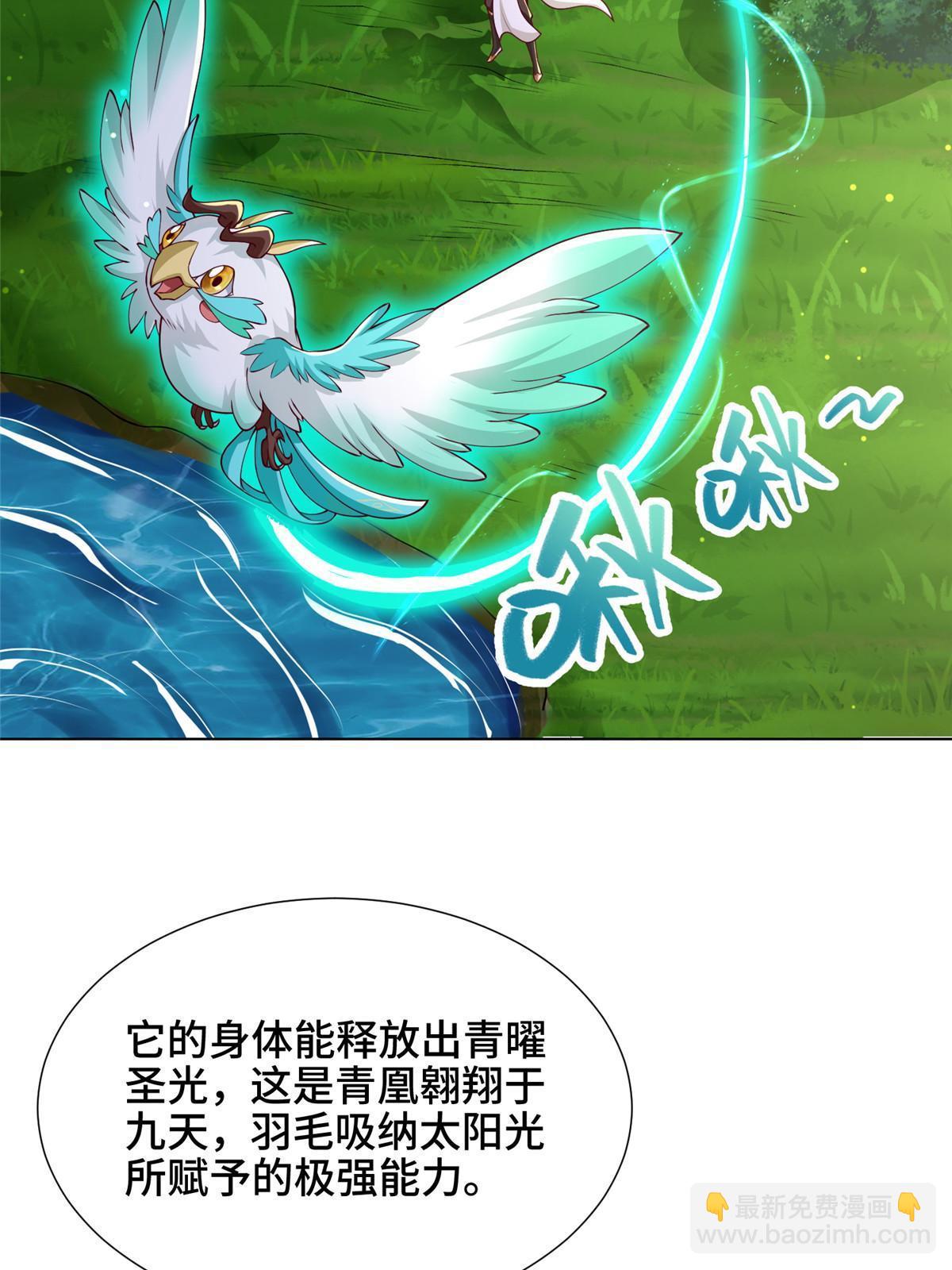 194 湿地训练(1/2)-第199话