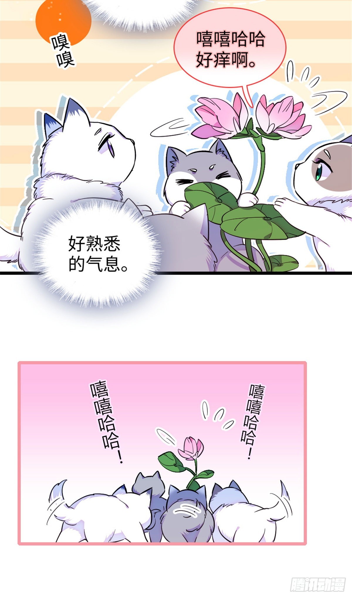 第247话-第247话
