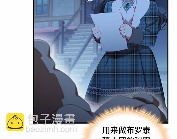 🍗奶萌魔力小公主 第61话 打造专属骑士团 第29页