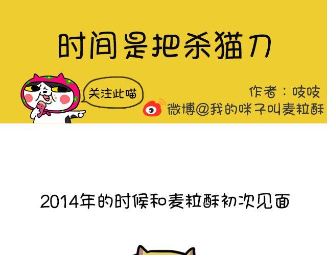 第11话 时间是把杀猫刀-第11话