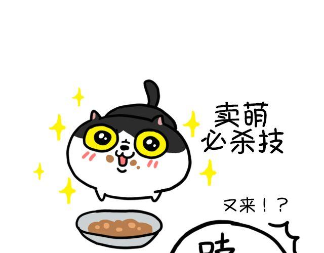 第11话 时间是把杀猫刀-第11话