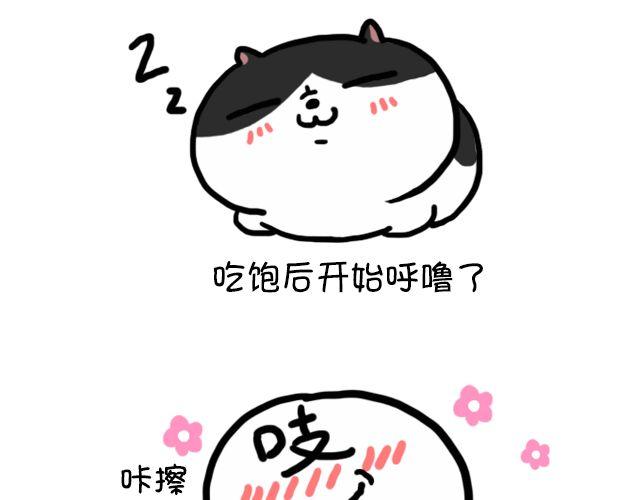 第11话 时间是把杀猫刀-第11话