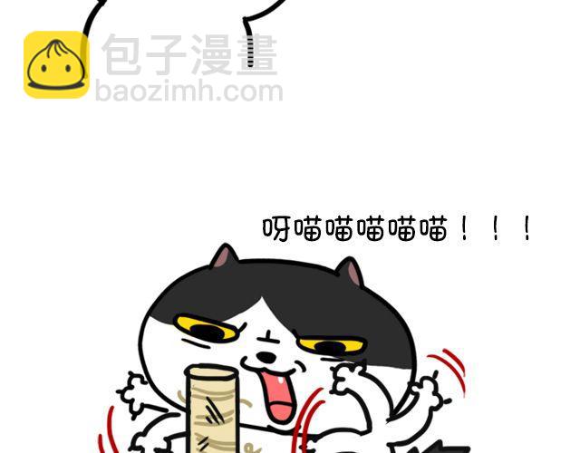 第11话 时间是把杀猫刀-第11话