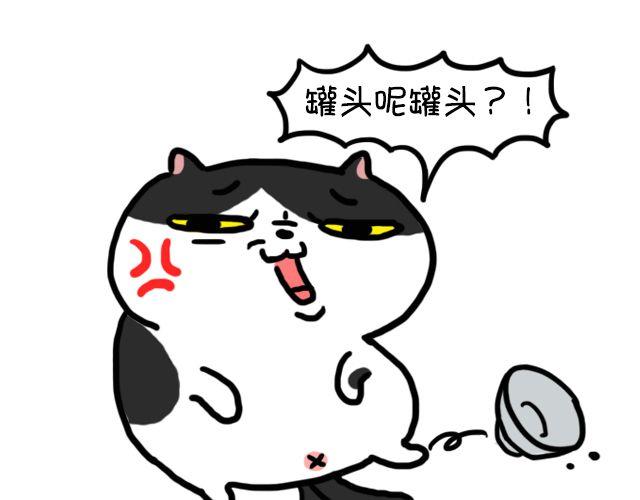 第11话 时间是把杀猫刀-第11话