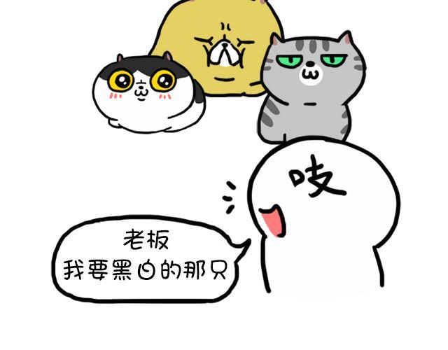 第11话 时间是把杀猫刀-第11话
