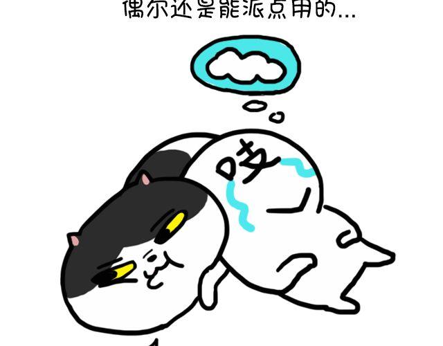 第11话 时间是把杀猫刀-第11话