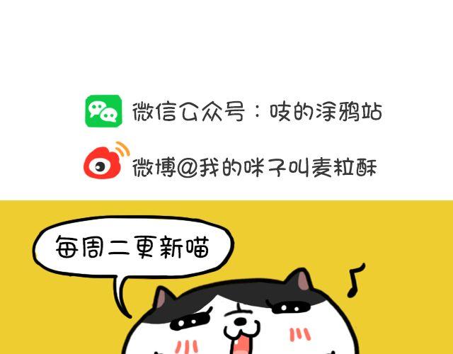 第11话 时间是把杀猫刀-第11话
