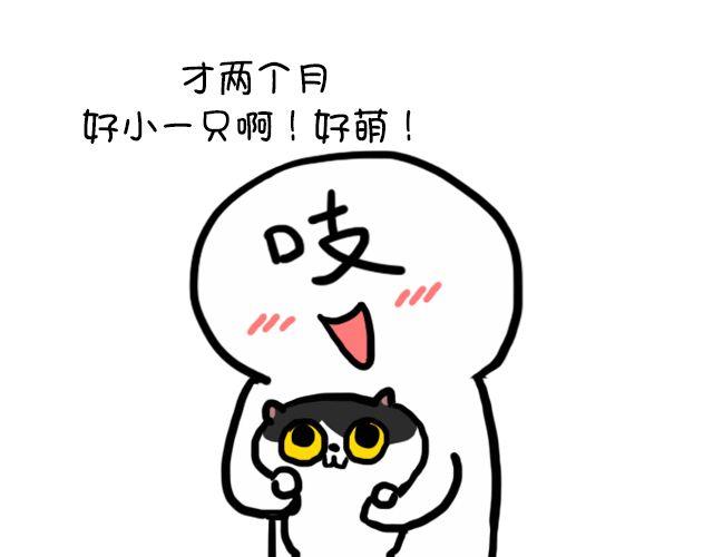 第11话 时间是把杀猫刀-第11话
