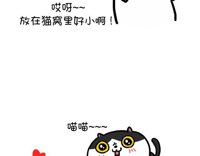 第11话 时间是把杀猫刀-第11话