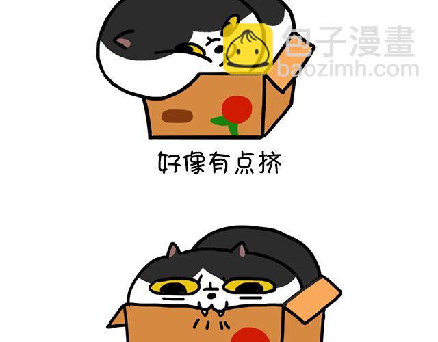 第3话 纸箱-第3话