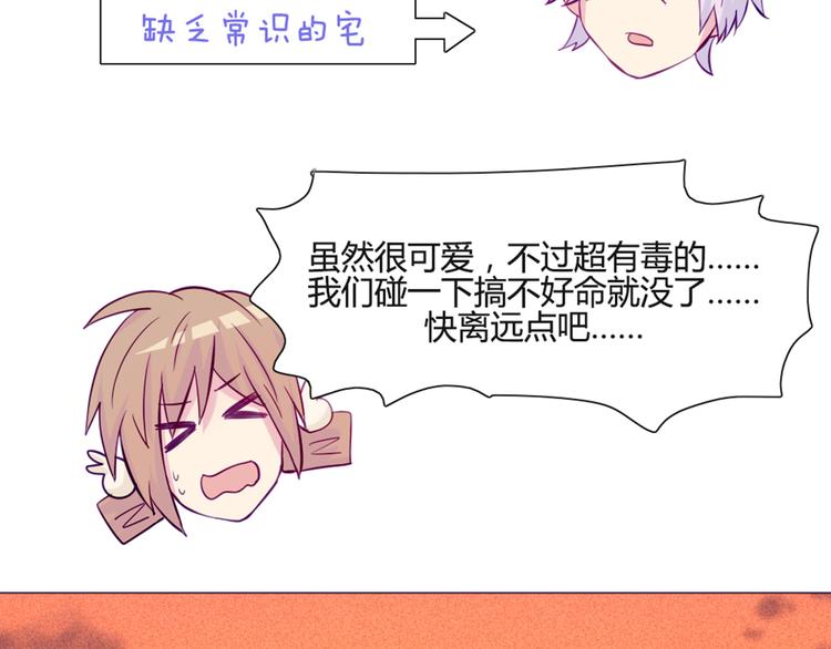 第46话 美丽的东西都有毒(1/2)-第43话